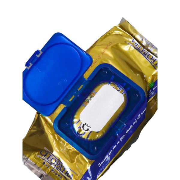 Cleopatra Wet Baby Wipes - Glow Haven